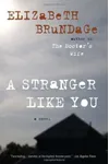 A Stranger Like You