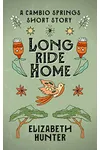 Long Ride Home
