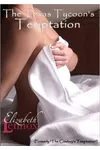The Texas Tycoon’s Temptation