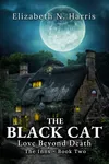 The Black Cat