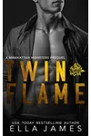 Twin Flame