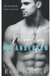 Meeting Mr Anderson