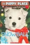 Snowball