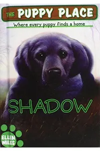Shadow
