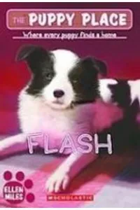 Flash