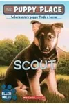 Scout