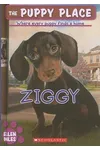 Ziggy