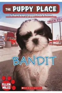 Bandit