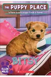 Bitsy