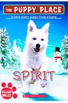 Spirit