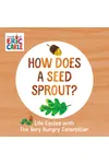 How Does a Seed Sprout?