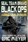 Assault on Al Shabaab