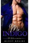Mr. Indigo