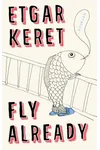 Fly Already