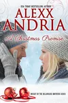 A Christmas Promise
