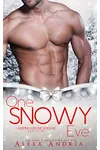 One Snowy Eve