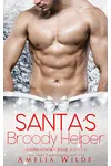 Santa's Broody Helper