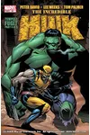 Incredible Hulk#80