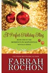 A Perfect Holiday Fling