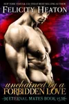 Unchained by a Forbidden Love