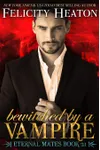 Bewitched by a Vampire