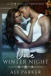 One Winter Night