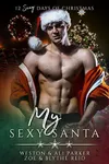 My Sexy Santa