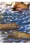 Trouble the Water