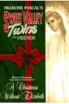 A Christmas Without Elizabeth