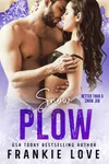 Snow Plow