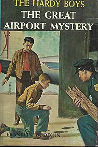 The Great Airport Mystery