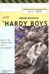 Hidden Mountain