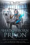 Shadowborn Prison