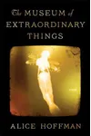 The Museum of Extraordinary Things