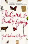 The Cure for Death by Lightning