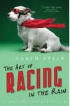 The Art of Racing in the Rain