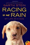 Racing in the Rain