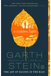 A Sudden Light