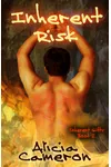Inherent Risk