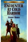 Encounter at Cold Harbor