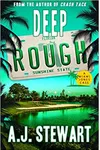 Deep Rough