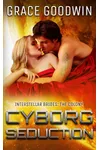 Cyborg Seduction