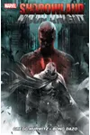 Shadowland: Moon Knight