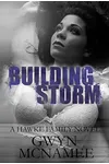 Building Storm