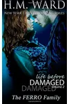 Life Before Damaged, Volume 2