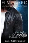 Life Before Damaged, Volume 3