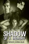 Shadow of a Memory