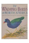 The Wading Birds of North America