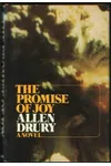 The Promise of Joy