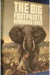 The Big Footprints